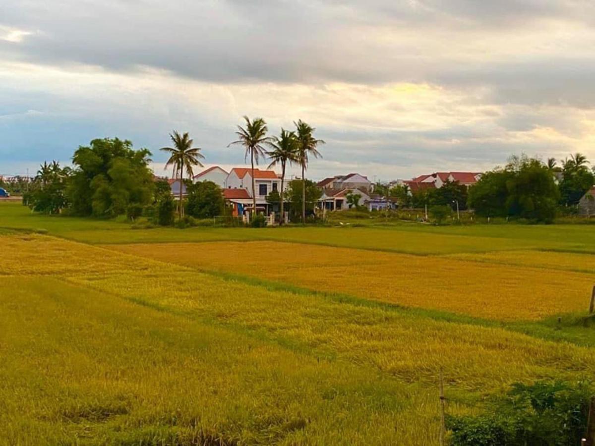 Hoi An Paddy House Homestay Eksteriør billede